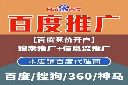 案例研究：竞价广告助力电商行业增长